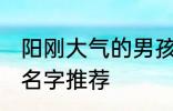 阳刚大气的男孩名字 阳刚大气的男孩名字推荐