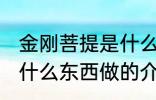 金刚菩提是什么东西做的 金刚菩提是什么东西做的介绍