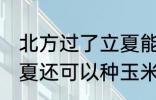 北方过了立夏能种玉米吗 北方过了立夏还可以种玉米吗