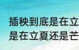 插秧到底是在立夏还是芒种 到底插秧是在立夏还是芒种