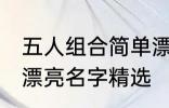 五人组合简单漂亮名字 五人组合简单漂亮名字精选