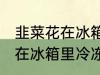 韭菜花在冰箱里冷冻能放多久 韭菜花在冰箱里冷冻可以放多长时间