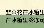 韭菜花在冰箱里冷冻能放多久 韭菜花在冰箱里冷冻可以放多长时间