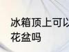 冰箱顶上可以放花盆吗 冰箱顶上能放花盆吗