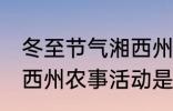 冬至节气湘西州农事活动 冬至节气湘西州农事活动是什么