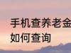 手机查养老金怎么查询 手机查养老金如何查询