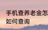 手机查养老金怎么查询 手机查养老金如何查询