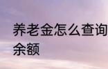 养老金怎么查询余额 养老金如何查询余额