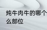 炖牛肉牛的哪个部位 炖牛肉牛选择什么部位