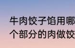 牛肉饺子馅用哪个部位的牛肉 牛的那个部分的肉做饺子馅比较好吃