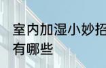 室内加湿小妙招有哪些 室内加湿方法有哪些