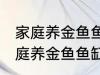 家庭养金鱼鱼缸里放什么水草好呢 家庭养金鱼鱼缸里放哪种水草好呢