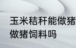 玉米秸秆能做猪饲料吗 玉米秸秆可以做猪饲料吗