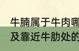 牛腩属于牛肉哪个部位 牛腩即牛腹部及靠近牛肋处的松软肌肉对吗