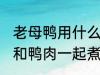 老母鸭用什么煲汤最好 哪些食物可以和鸭肉一起煮汤