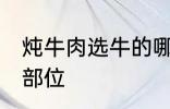 炖牛肉选牛的哪个部位 炖牛肉的最佳部位