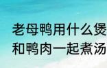 老母鸭用什么煲汤最好 哪些食物可以和鸭肉一起煮汤