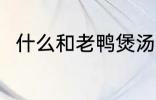 什么和老鸭煲汤最好 老鸭煲汤做法