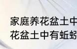 家庭养花盆土中有蚯蚓怎么办 家庭养花盆土中有蚯蚓的解决方法