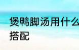 煲鸭脚汤用什么煲好 煲鸭脚汤的最佳搭配