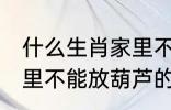 什么生肖家里不能放葫芦 什么生肖家里不能放葫芦的呢